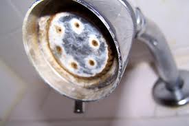 Hard water causes scaling in  hot water appliances.